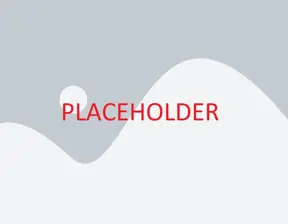 placeholder.webp